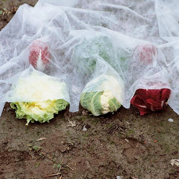 Vliesdoek - 10 × 2 Meter - 30 G/m² 3 Vliesdoek - 10 × 2 Meter - 30 G/m²