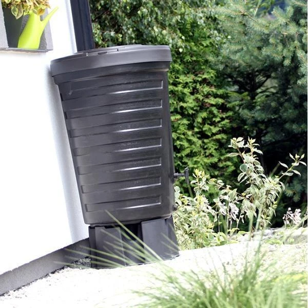 Voet Voor Regenton 6 Voet Voor Regenton - Afbeelding 4