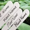 Waterbestendige Stift Zwart Voor Plantenlabels 1 Waterbestendige Stift Zwart Voor Plantenlabels -Tuinonderhoud Buiten Korting waterbestendige stift zwart 1484062288 2 600
