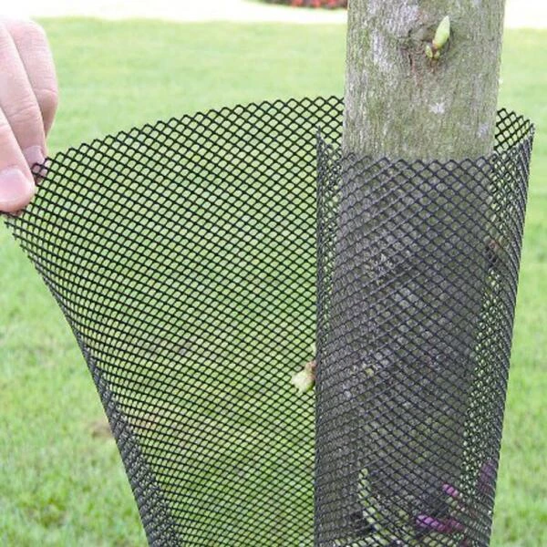 Boombescherming Gaas 55 Cm - Set Van 5 Stuks 3 Boombescherming Gaas 55 Cm - Set Van 5 Stuks