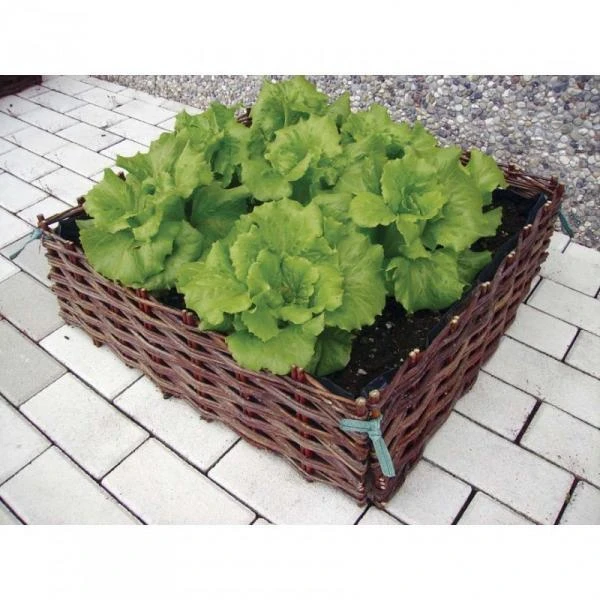 Wilgentenen Plantenbed - 60 × 60 × 20 Cm 3 Wilgentenen Plantenbed - 60 × 60 × 20 Cm